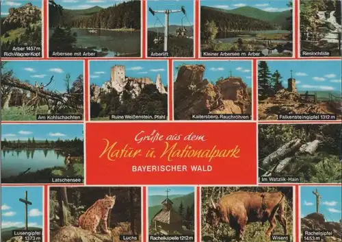 Bayerischer Wald - u.a. ein Luchs - ca. 1980