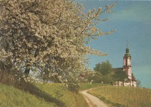 Uhldingen-Mühlhofen - Birnau - Klosterkirche - ca. 1975