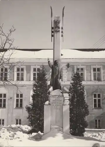 Polen - Busko-Zdroj - Polen - Pomnik