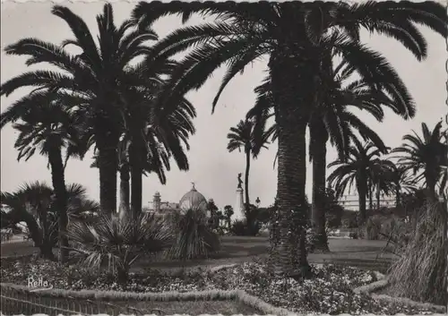 Frankreich - Frankreich - Nizza - Palmiers aux Jardins Albert 1 - 1943