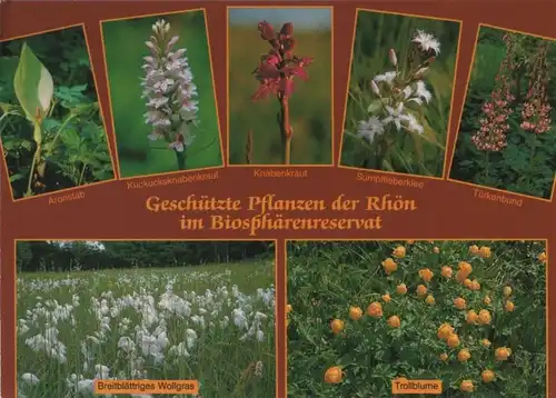 Rhön - Geschützte Pflanzen - ca. 1995