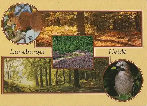 Lüneburger Heide - mit 5 Bildern - ca. 1990