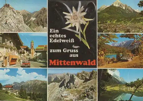 Mittenwald - mit Edelweiß