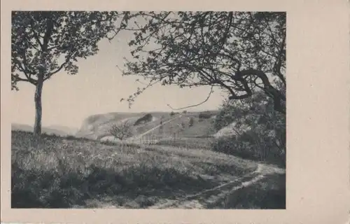 Fernblick zum Hügel - ca. 1955