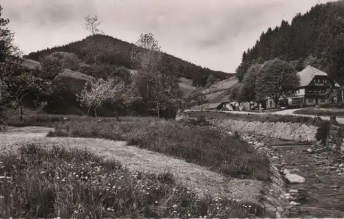 Bad Rippoldsau-Schapbach - Gasthaus zur Holzwälderhöhe - 1958