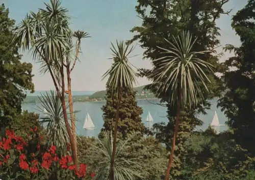 Mainau - Tropeninsel - ca. 1970