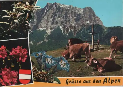 Österreich - Österreich - Alpen - Grüsse - 1979
