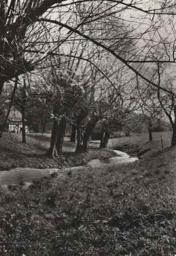 Bäume am Bach - ca. 1985