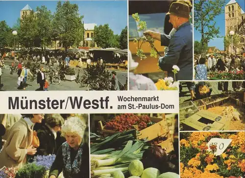 Münster - Wochenmarkt am Dom