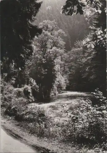 Motiv im Wald - 1980