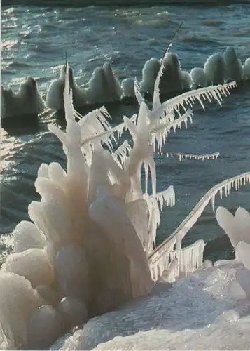 Winter am Meer - 1981