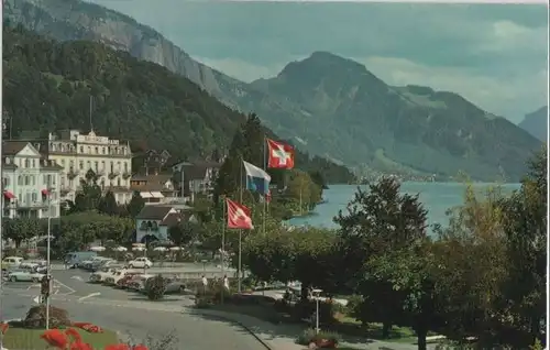 Schweiz - Weggis - Schweiz - mit Rigi