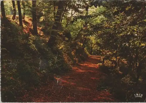 Belgien - Belgien - Ardennen - ca. 1975