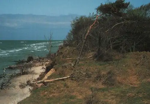 Natürlicher Meeresstrand - 1994