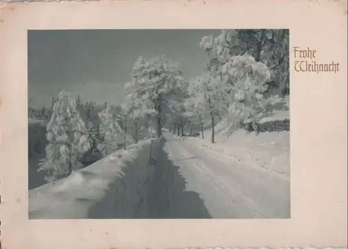 Frohe Weihnacht Winterwald