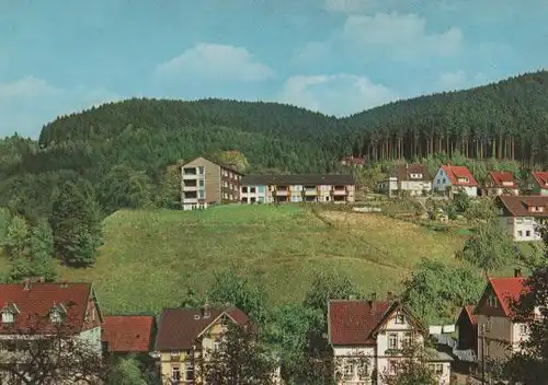 Bad Grund - Blick zum Roland - ca. 1975