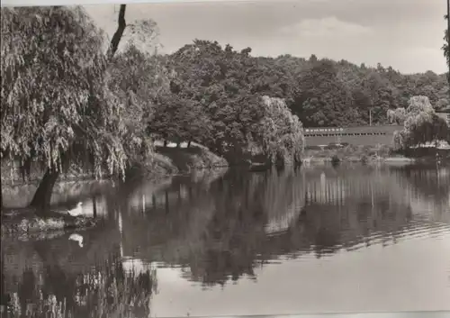 Meerane - Sommernad mit Teichanlagen - 1978