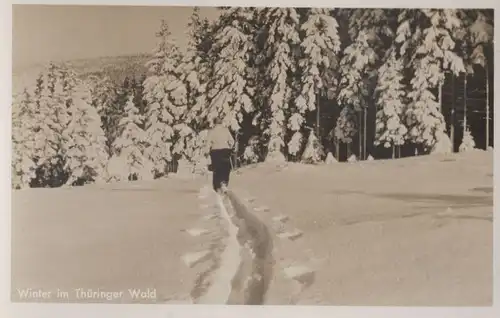 Thüringer Wald - Winter