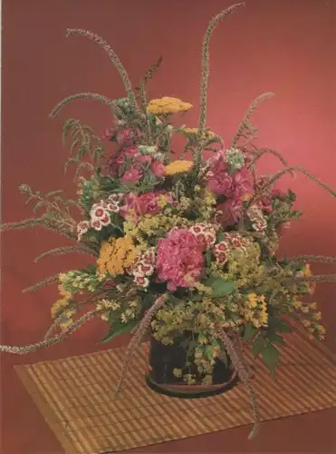 Bartnelken Arrangement