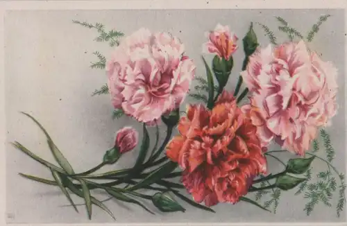 Blumen in rosa und rot