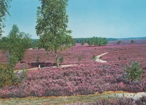 Lüneburger Heide - ca. 1980