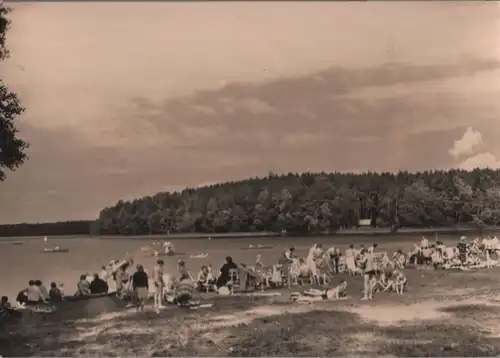 Stechlin-Neuglobsow - Badestrand am Stechlin-See - ca. 1965