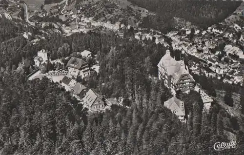 Bad Wildbad - Wildbad - Waldhotel Riexinger von oben - 1955