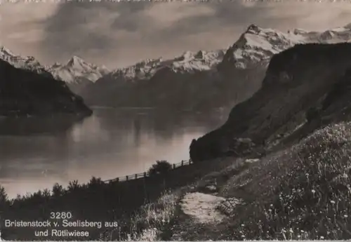 Schweiz - Schweiz - Bristenstock - vom Seelisberg und Rütliwiese - 1954
