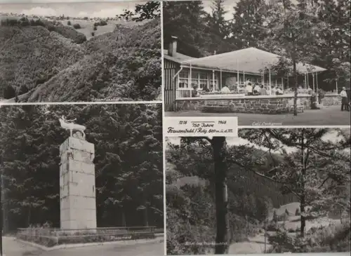 Frauenwald - u.a. Gesamtansicht - 1974