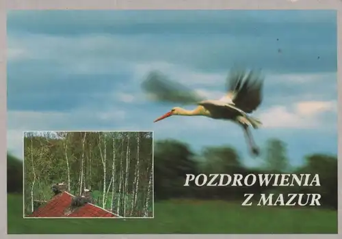 Polen - Polen - Masuren - mit 2 Bildern - ca. 2000