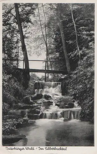 Teutoburger Wald - Im Silberbachtal - 1958