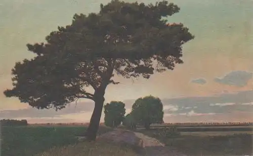 Bäume in der Ebene - ca. 1925