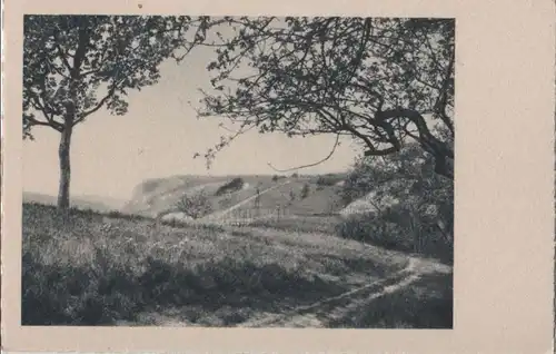 Durchblick zum Hügel - ca. 1955