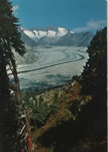 Schweiz - Schweiz - Aletschgletscher - Wannenhorn - ca. 1980