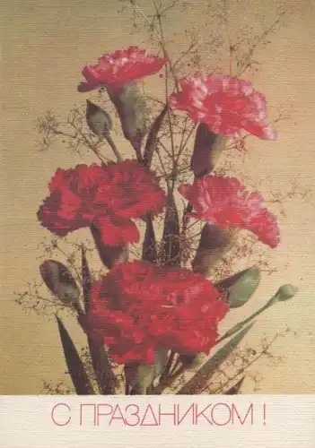 Blumen in rot