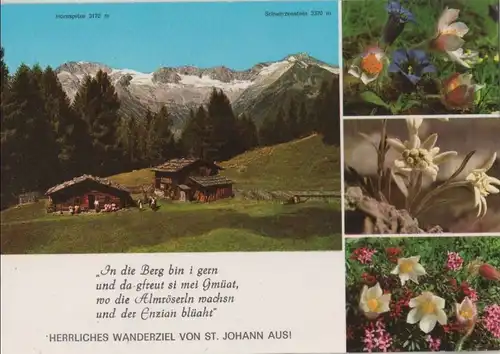 Österreich - Österreich - Sankt Johann - Niederhofer Alm - ca. 1980