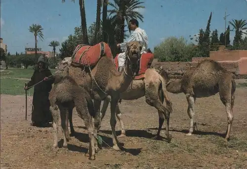 Marokko - Marokko - Sonstiges - Destination Sahara - 1992