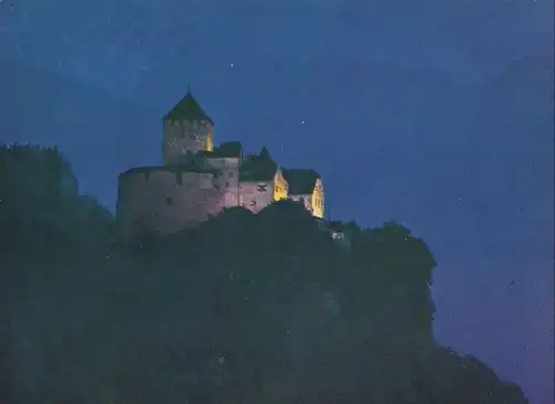 Liechtenstein - Vaduz - Liechtenstein - Schloss bei Nacht