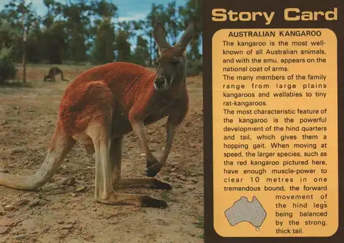 Australien - Australien (Sonstiges) - Australien - Känguru, Story Card