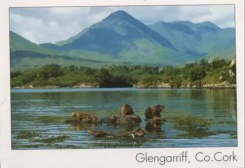 Irland - Irland - Glengariff - ca. 2000