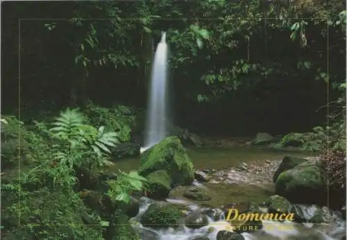 Dominica - Emerald Pool - Dominikanische Republik - Wasserfall