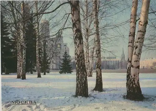 Russland - Moskau - Russland - Park im Winter