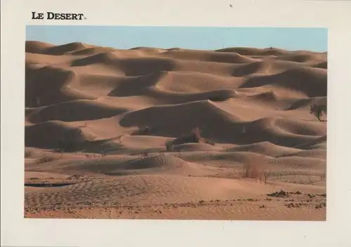 Tunesien - Tunesien - Sahara - Desert - ca. 1985