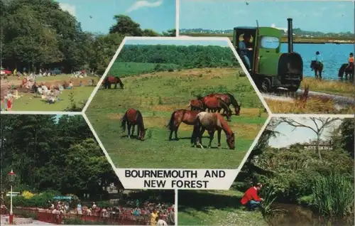 Großbritannien - Bournemouth - Großbritannien - and New Forest