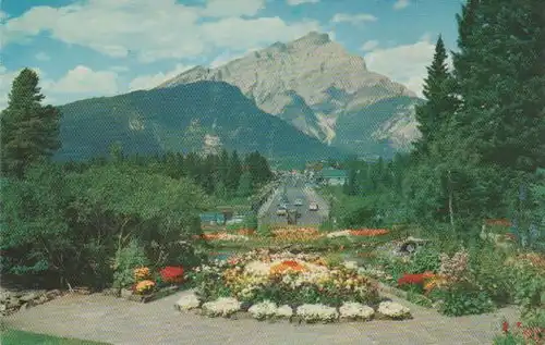Kanada - Kanada - Canadian Rockies - Alpine Gardens - ca. 1965