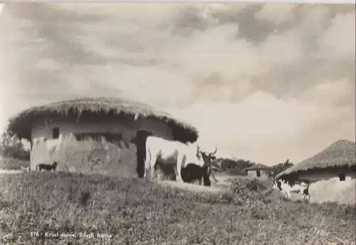 Südafrika - Südafrika - Südafrika - Kraal scene