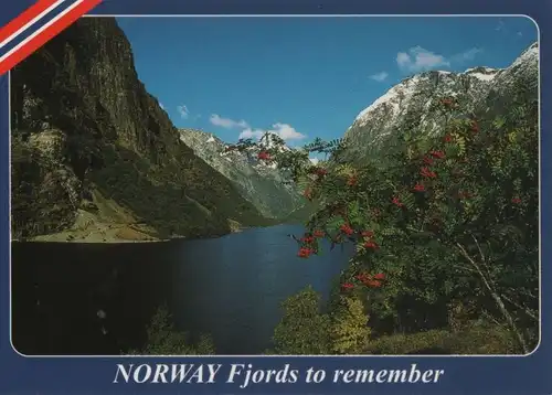 Norwegen - Norwegen - Naeoyfjord - 2005