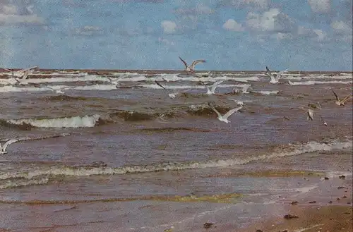 Lettland - Jurmala - Lettland - Möwen am Strand