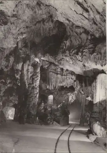Slowenien - Postojnska Jama - Slowenien - Höhle