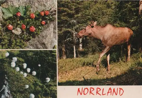 Schweden - Schweden - Norrland - mit 3 Bildern - ca. 1985